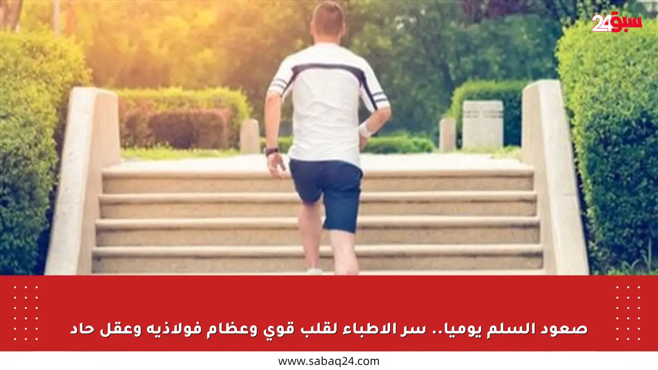 صعود السلم يوميا.. سر الأطباء لقلب قوي وعظام فولاذية وعقل حاد
